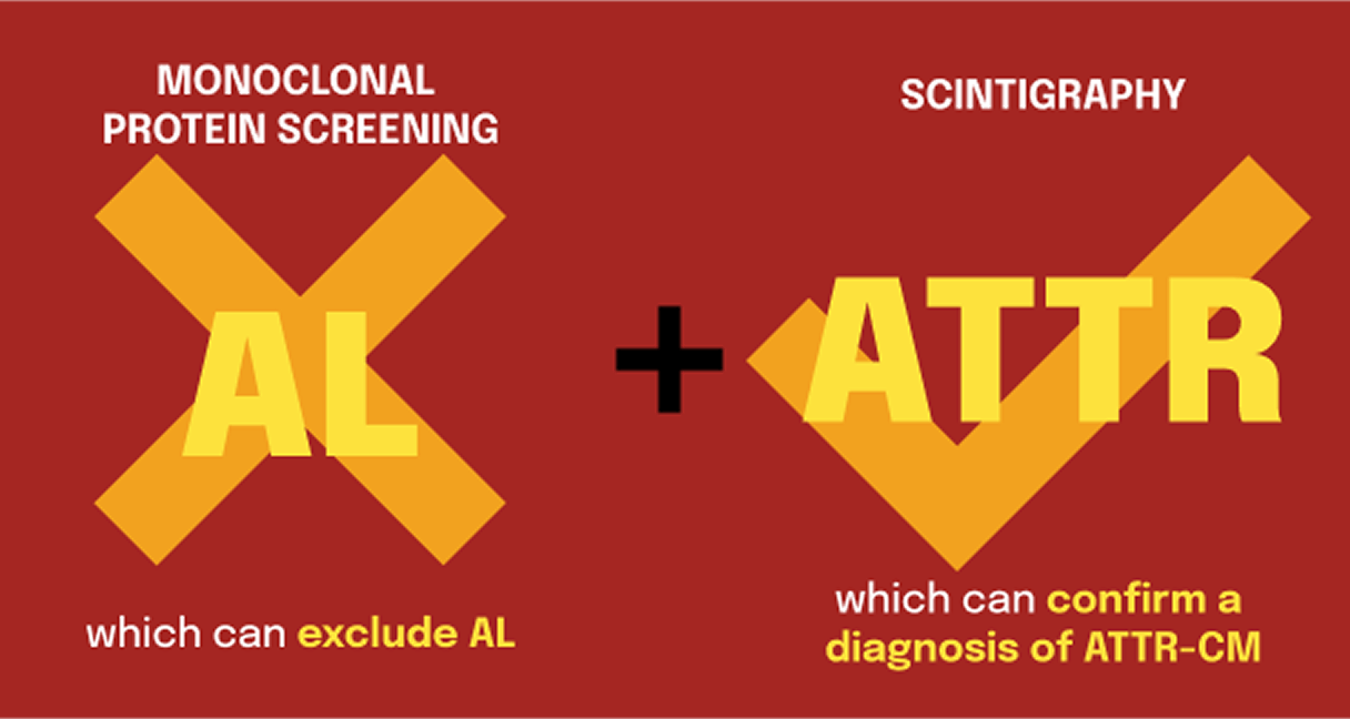 Infographic showing AL exclusion and ATTR confirmation steps