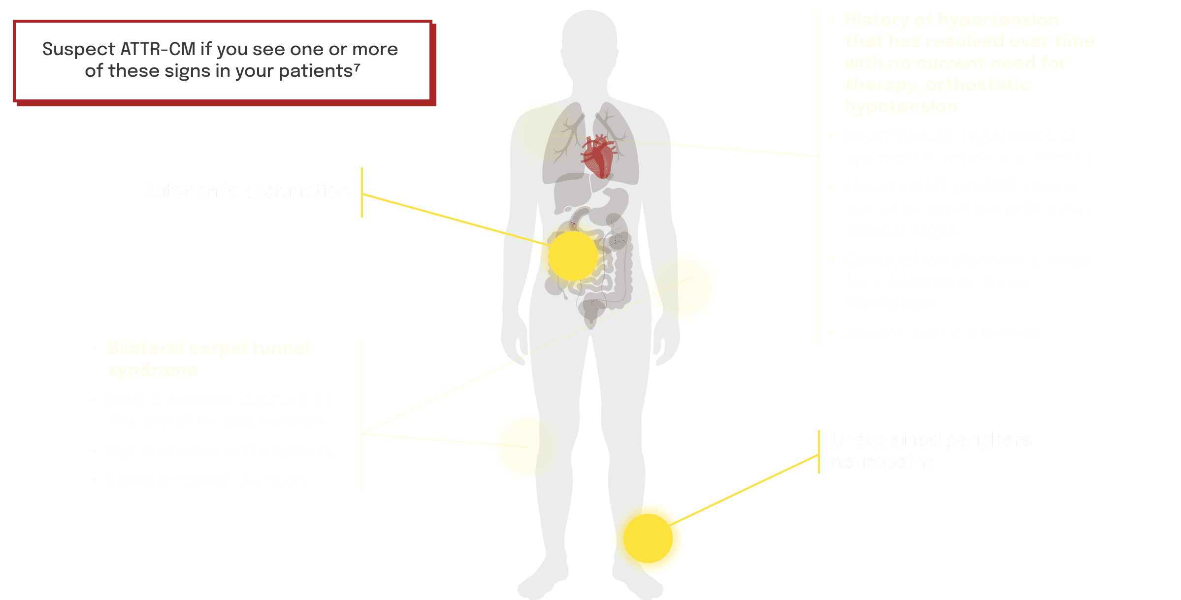 Body graphic highlighting symptom areas
commonly associated with ATTR-CM