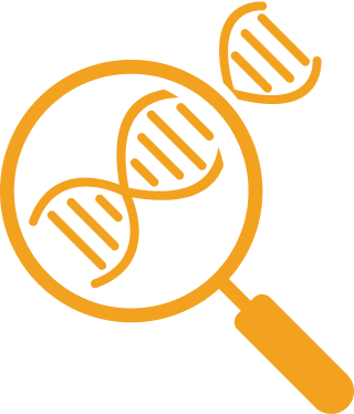 magnifying glass examining a DNA strand icon