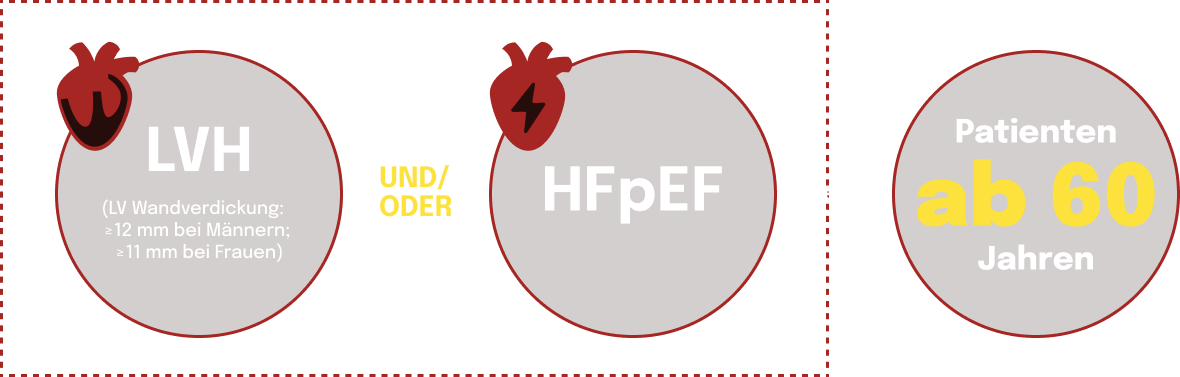 LVH- oder HFpEF-Indikatoren bei Patienten über 60 Jahren