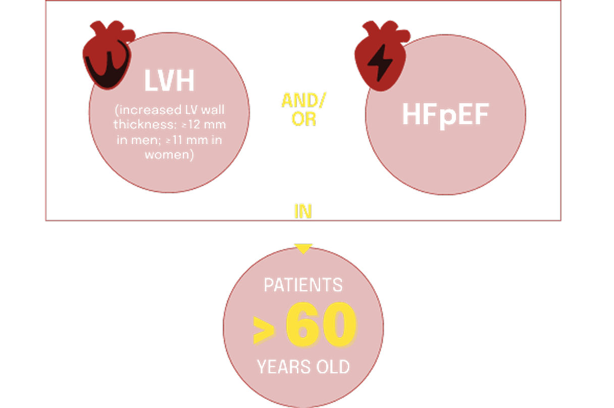 Infographic showing LVH and HFpEF indicators in patients over 60 years old
